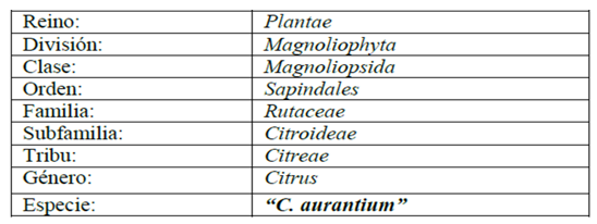 Clasificación taxonómica de la especie